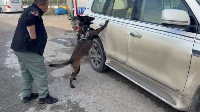 Vida eksik olunca, şeytanın aklına gelmeyecek zulayı narkotik çözdü